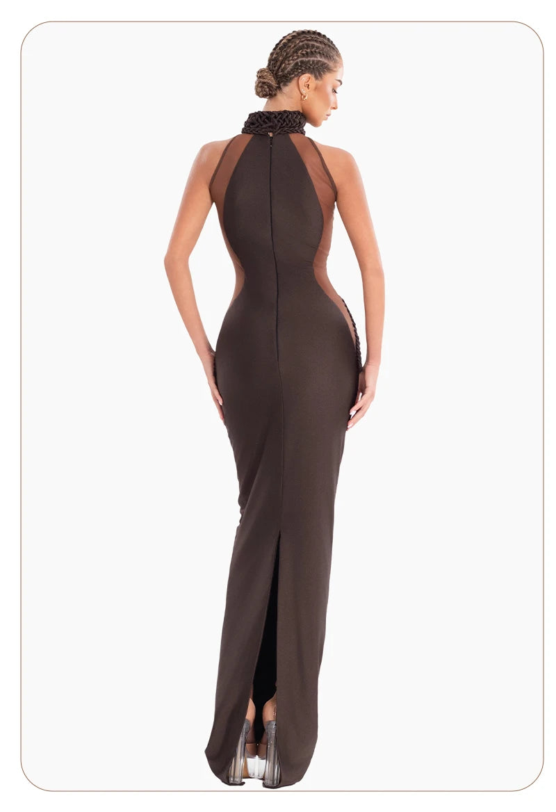 Luxury Sheer Corset Brown Long Dresses for Women – Long Sleeve High Neck See Through Bodycon Maxi Dress with Mesh Waist Detail