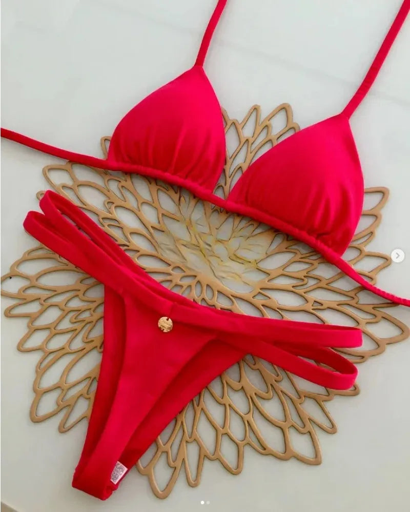 New Split Briefs Bikini Sexy Brazil Swimsuit Women's Beach Vacation Bikin